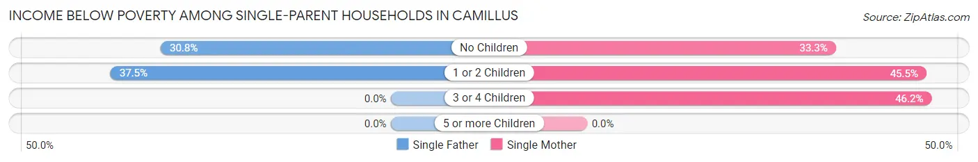 Income Below Poverty Among Single-Parent Households in Camillus