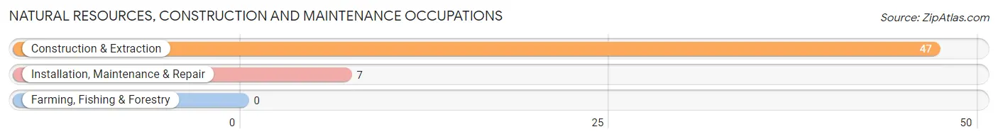 Natural Resources, Construction and Maintenance Occupations in Candor