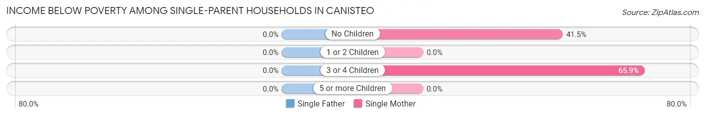 Income Below Poverty Among Single-Parent Households in Canisteo
