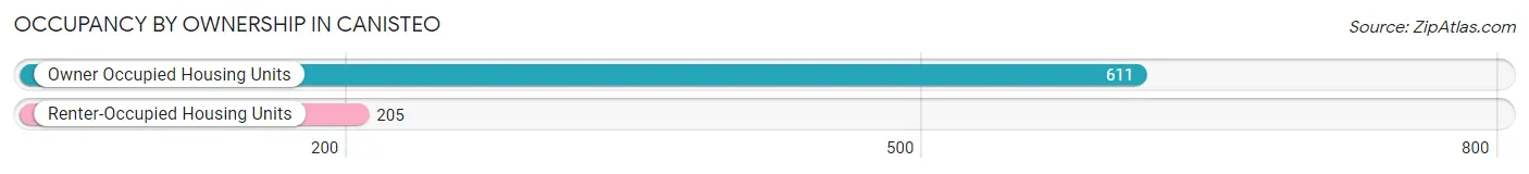 Occupancy by Ownership in Canisteo