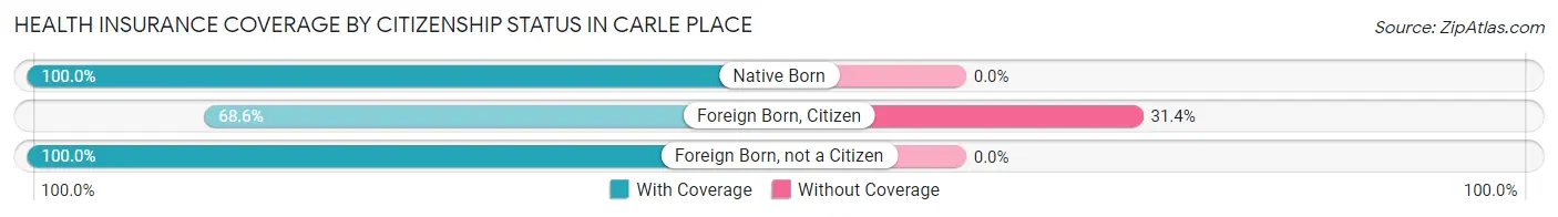 Health Insurance Coverage by Citizenship Status in Carle Place