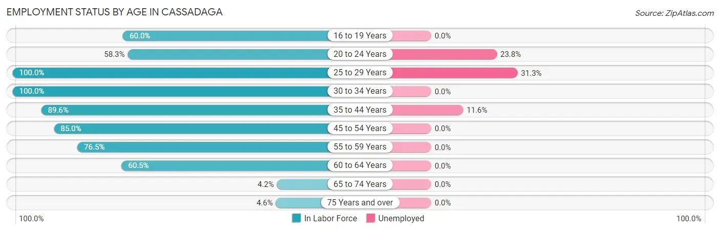 Employment Status by Age in Cassadaga