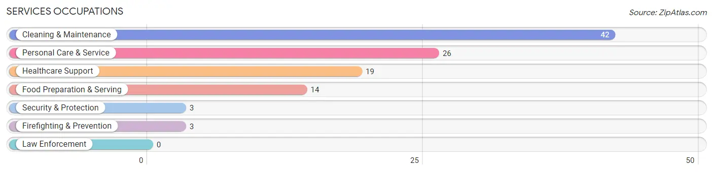 Services Occupations in Castleton On Hudson