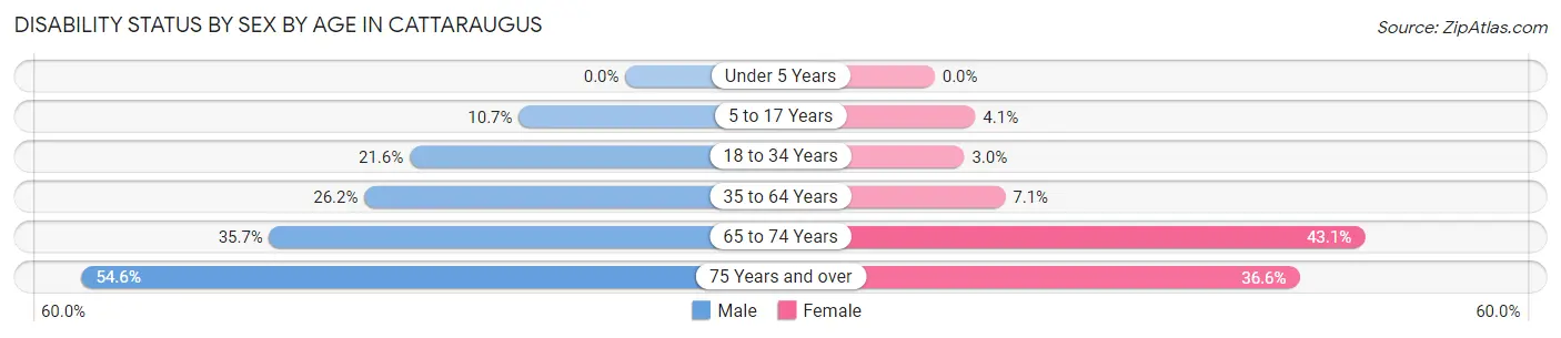 Disability Status by Sex by Age in Cattaraugus
