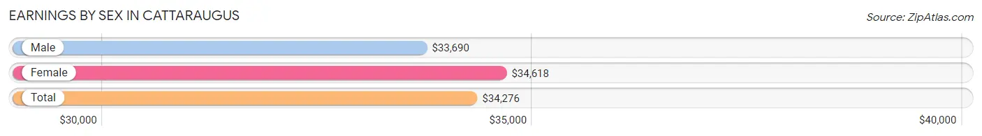 Earnings by Sex in Cattaraugus