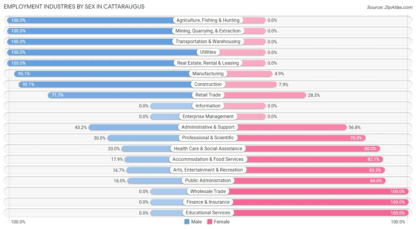 Employment Industries by Sex in Cattaraugus