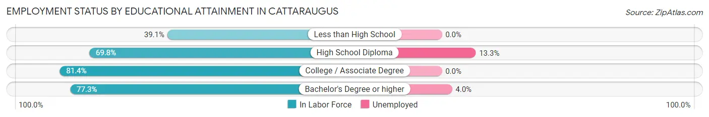 Employment Status by Educational Attainment in Cattaraugus