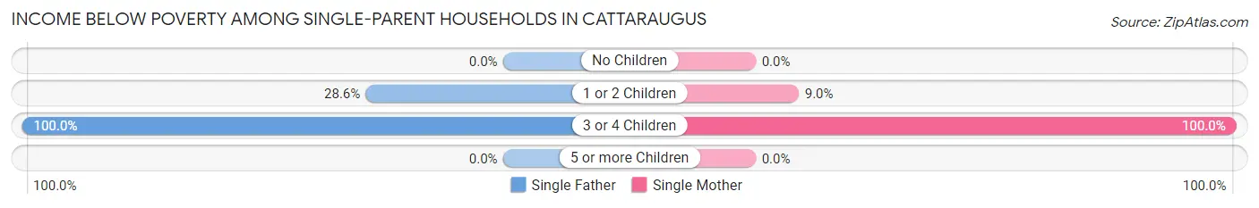 Income Below Poverty Among Single-Parent Households in Cattaraugus