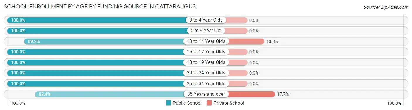 School Enrollment by Age by Funding Source in Cattaraugus
