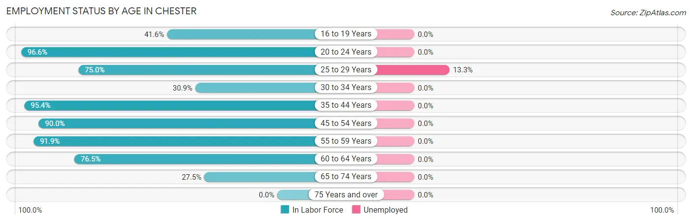 Employment Status by Age in Chester