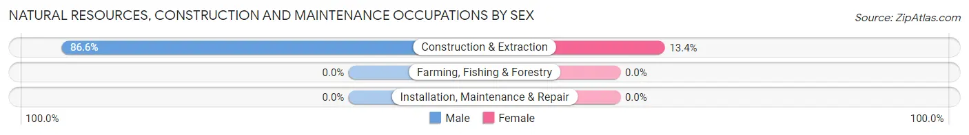 Natural Resources, Construction and Maintenance Occupations by Sex in Chestertown