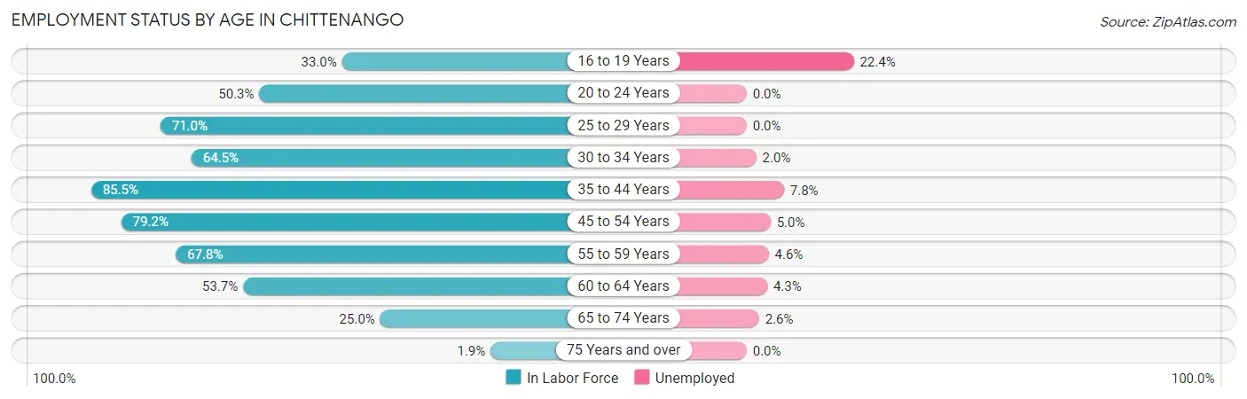 Employment Status by Age in Chittenango