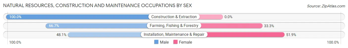 Natural Resources, Construction and Maintenance Occupations by Sex in Chittenango