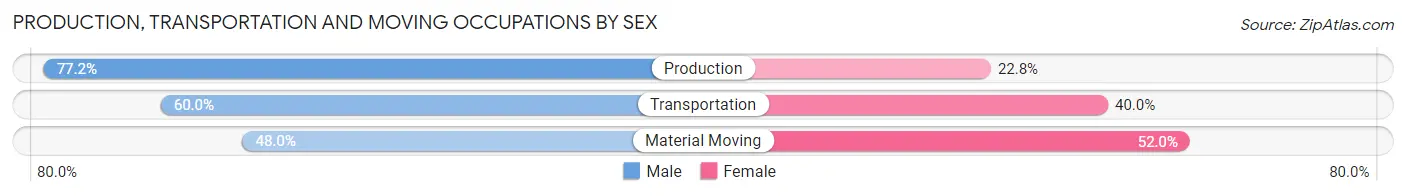Production, Transportation and Moving Occupations by Sex in Cohocton