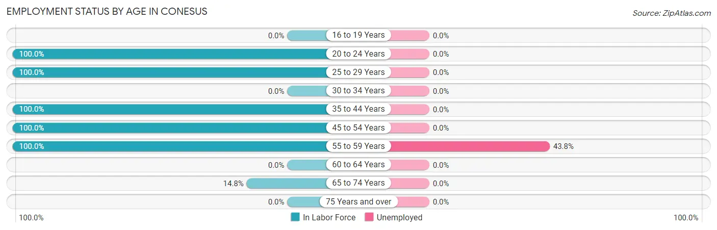 Employment Status by Age in Conesus