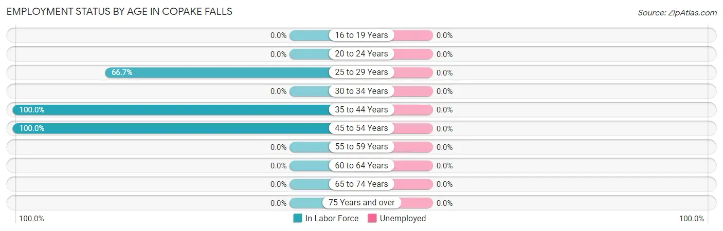 Employment Status by Age in Copake Falls
