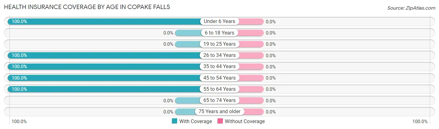 Health Insurance Coverage by Age in Copake Falls