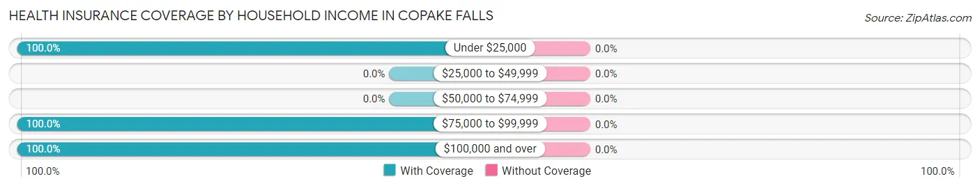 Health Insurance Coverage by Household Income in Copake Falls