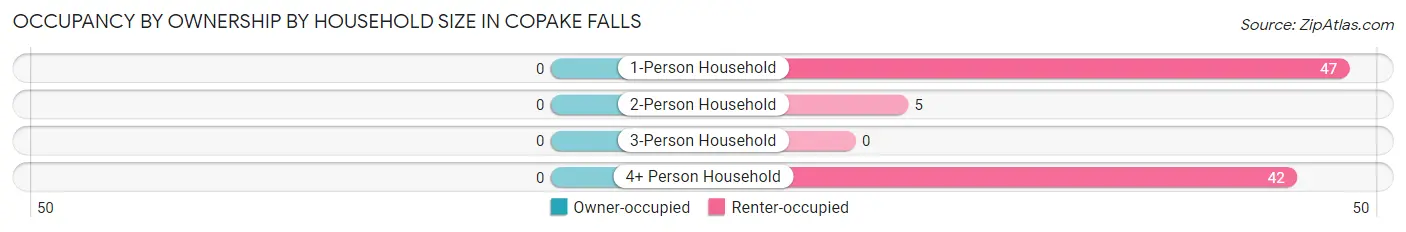 Occupancy by Ownership by Household Size in Copake Falls