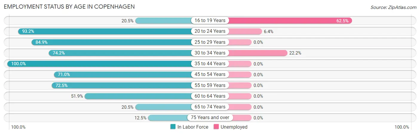 Employment Status by Age in Copenhagen