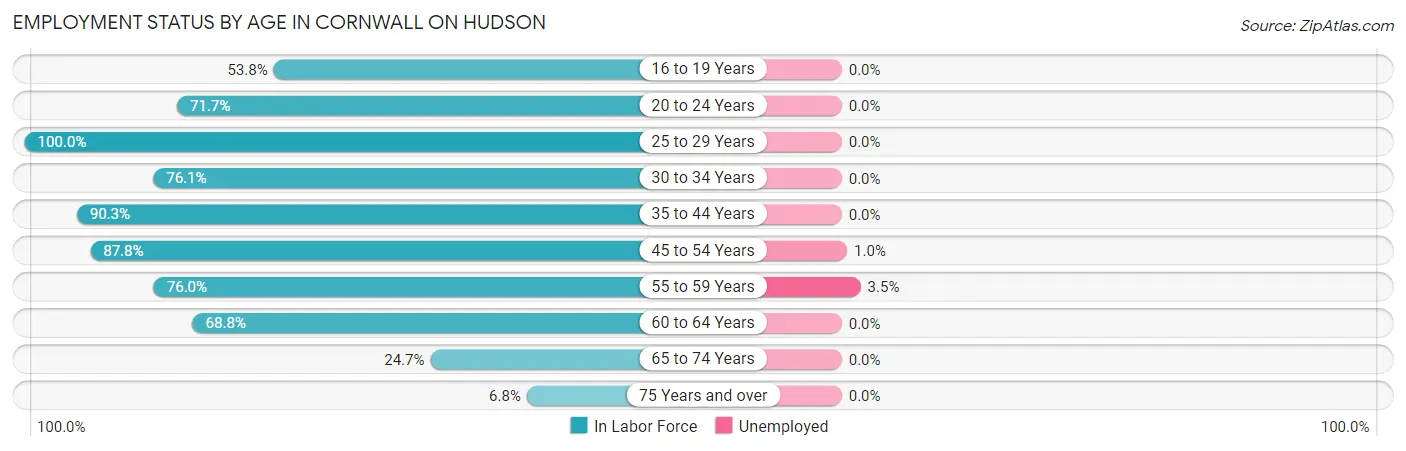 Employment Status by Age in Cornwall On Hudson