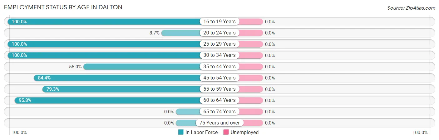 Employment Status by Age in Dalton