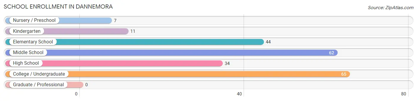 School Enrollment in Dannemora