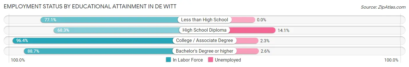 Employment Status by Educational Attainment in De Witt