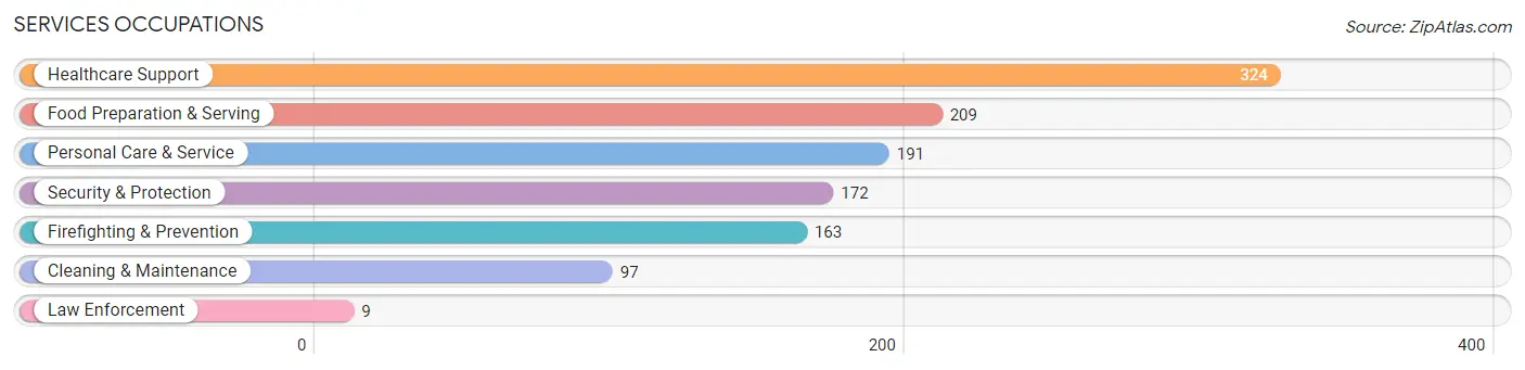 Services Occupations in De Witt