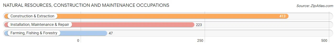 Natural Resources, Construction and Maintenance Occupations in Depew