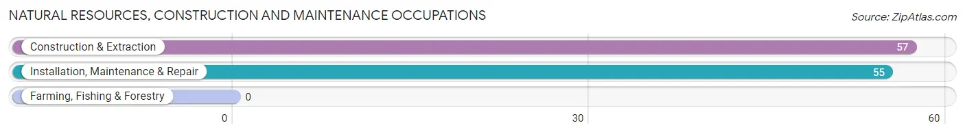 Natural Resources, Construction and Maintenance Occupations in Deposit