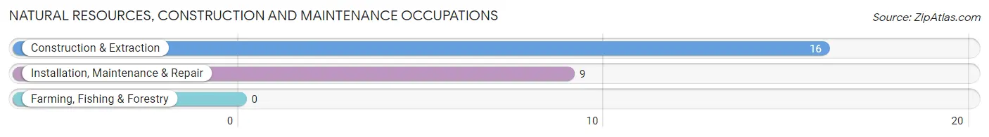 Natural Resources, Construction and Maintenance Occupations in Dexter