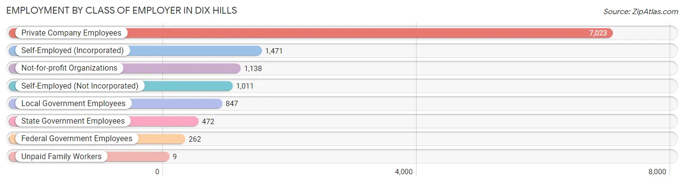 Employment by Class of Employer in Dix Hills