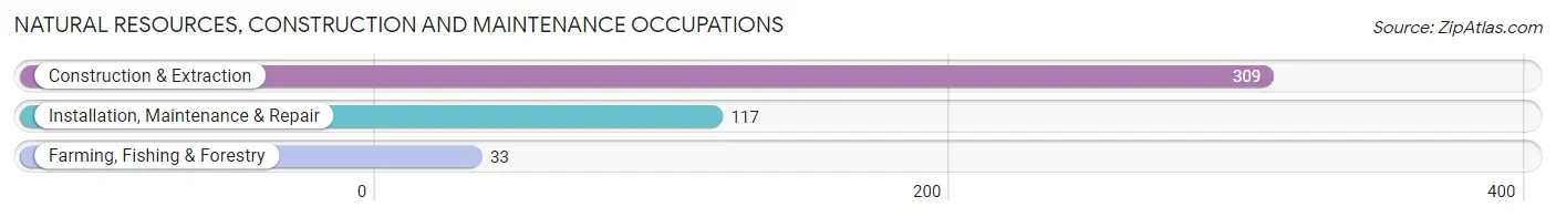 Natural Resources, Construction and Maintenance Occupations in Dix Hills