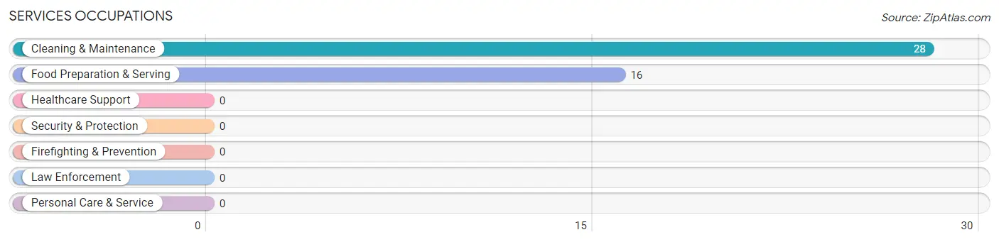 Services Occupations in Downsville