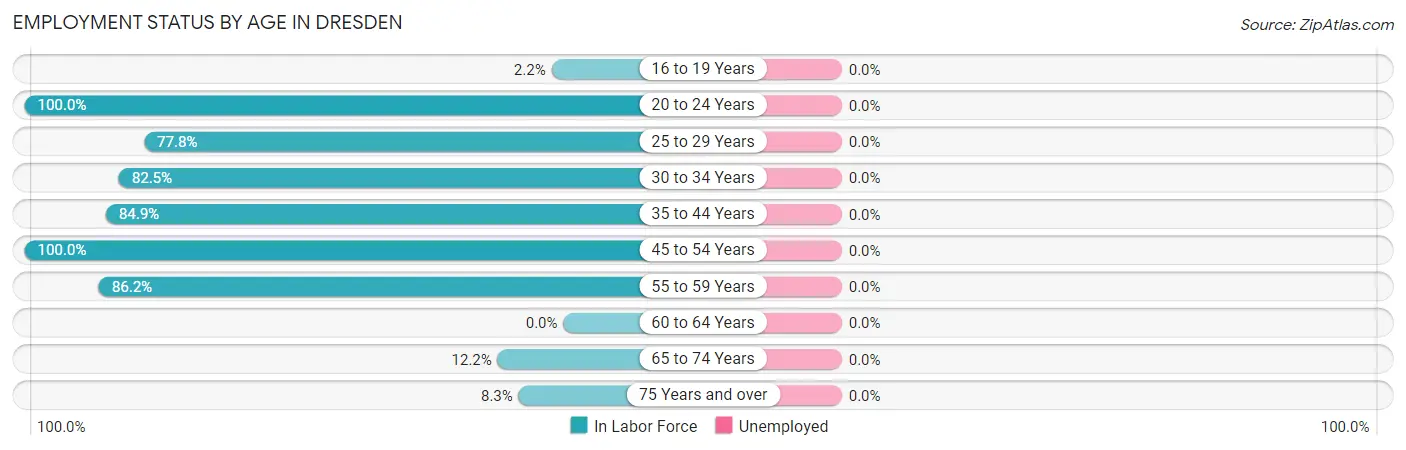 Employment Status by Age in Dresden