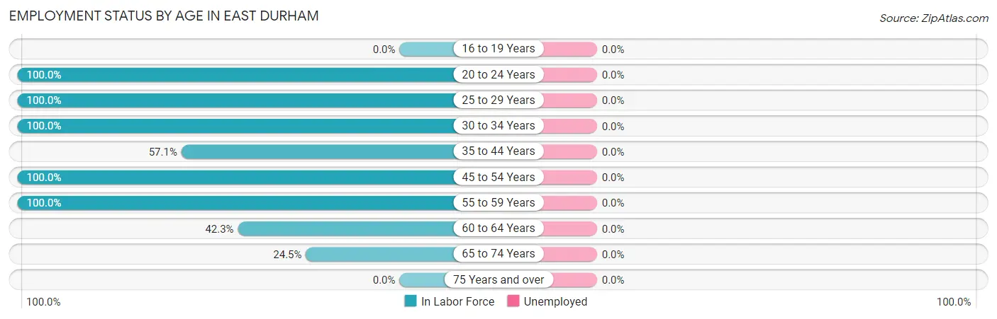 Employment Status by Age in East Durham