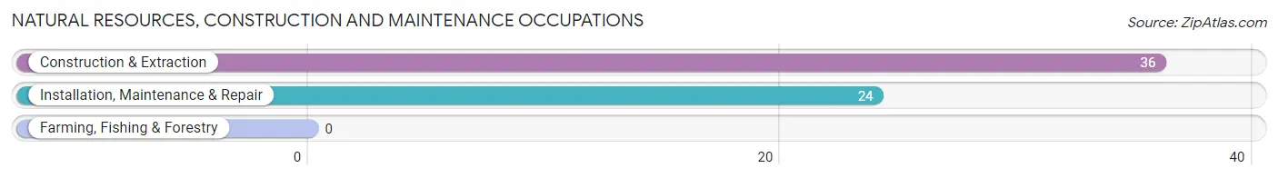 Natural Resources, Construction and Maintenance Occupations in East Hampton