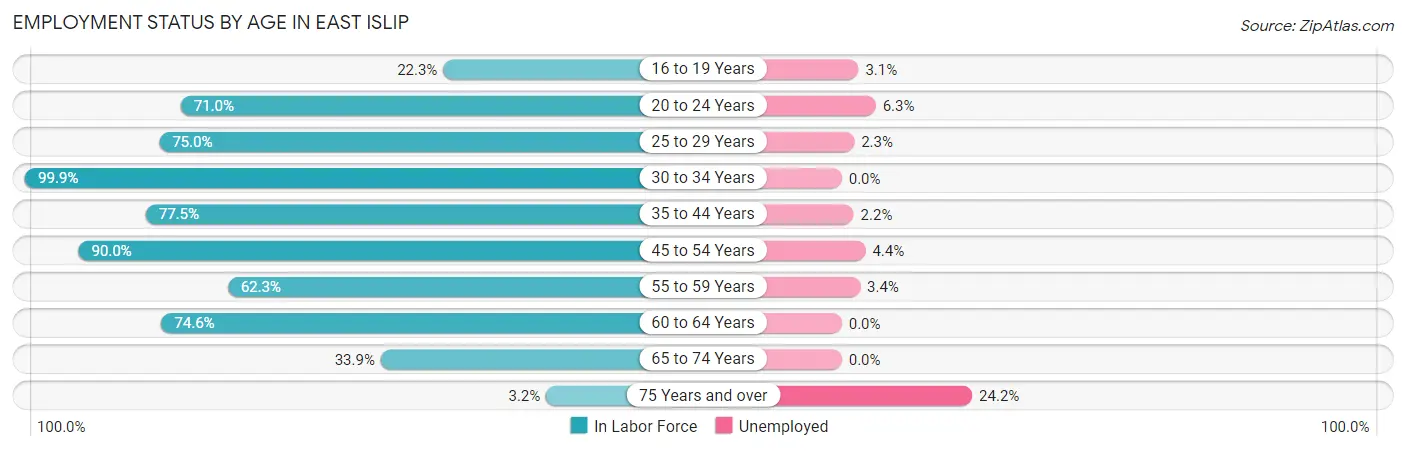 Employment Status by Age in East Islip