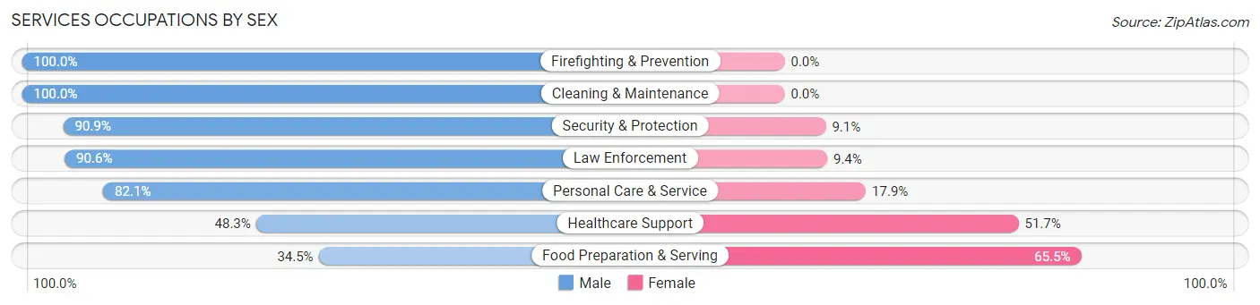 Services Occupations by Sex in East Islip