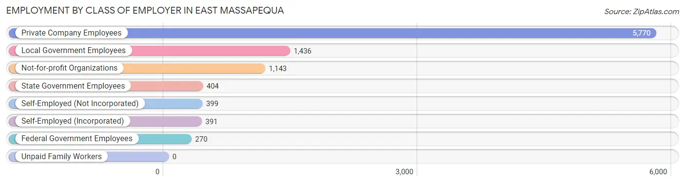 Employment by Class of Employer in East Massapequa