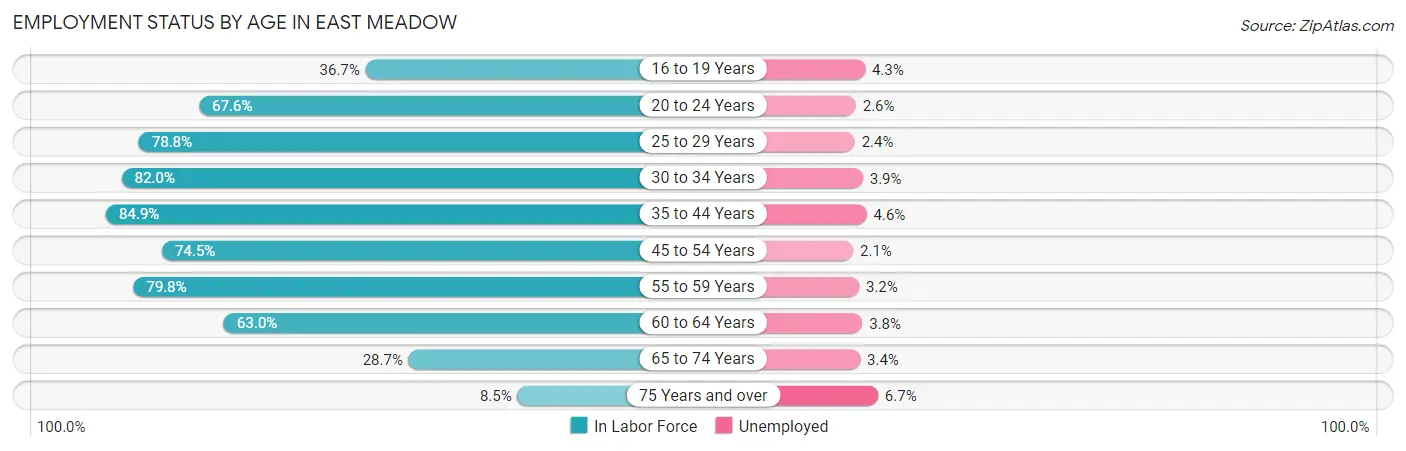 Employment Status by Age in East Meadow