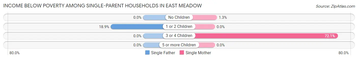 Income Below Poverty Among Single-Parent Households in East Meadow