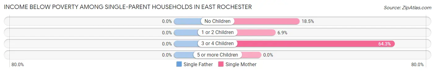 Income Below Poverty Among Single-Parent Households in East Rochester
