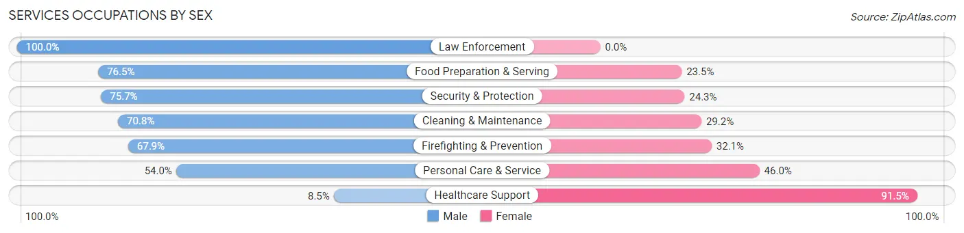 Services Occupations by Sex in East Rochester