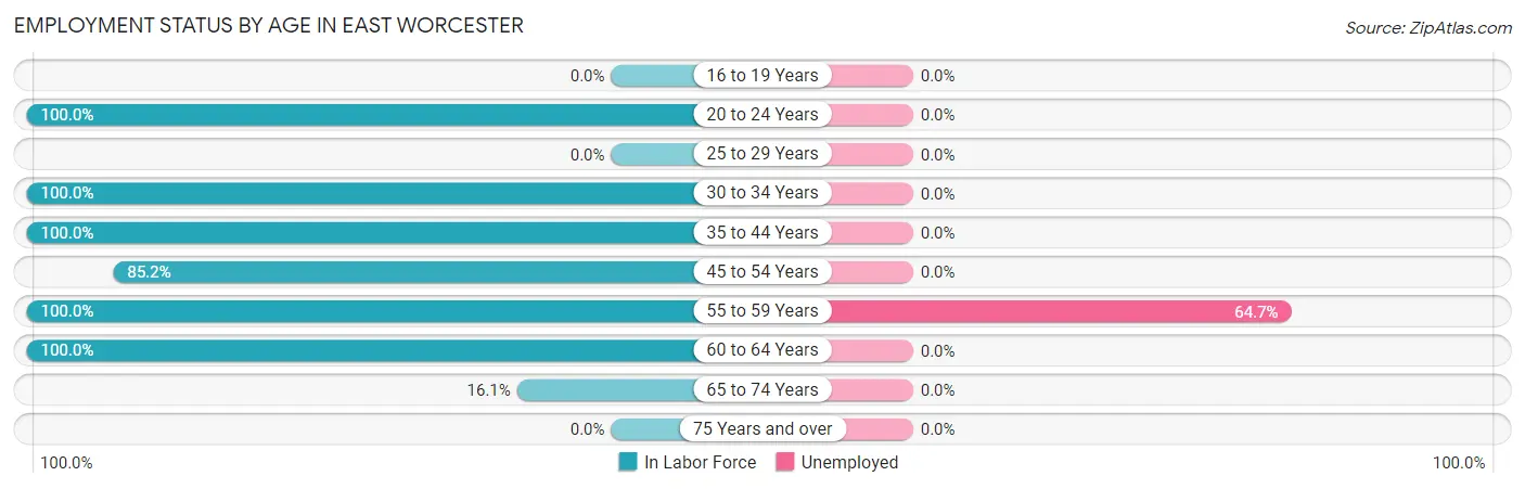 Employment Status by Age in East Worcester