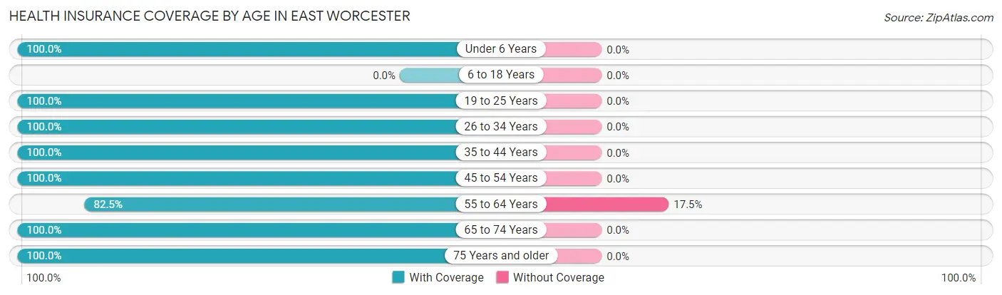 Health Insurance Coverage by Age in East Worcester