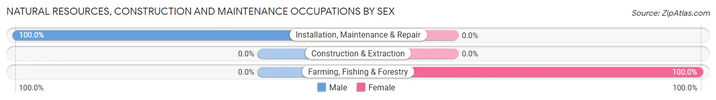 Natural Resources, Construction and Maintenance Occupations by Sex in East Worcester