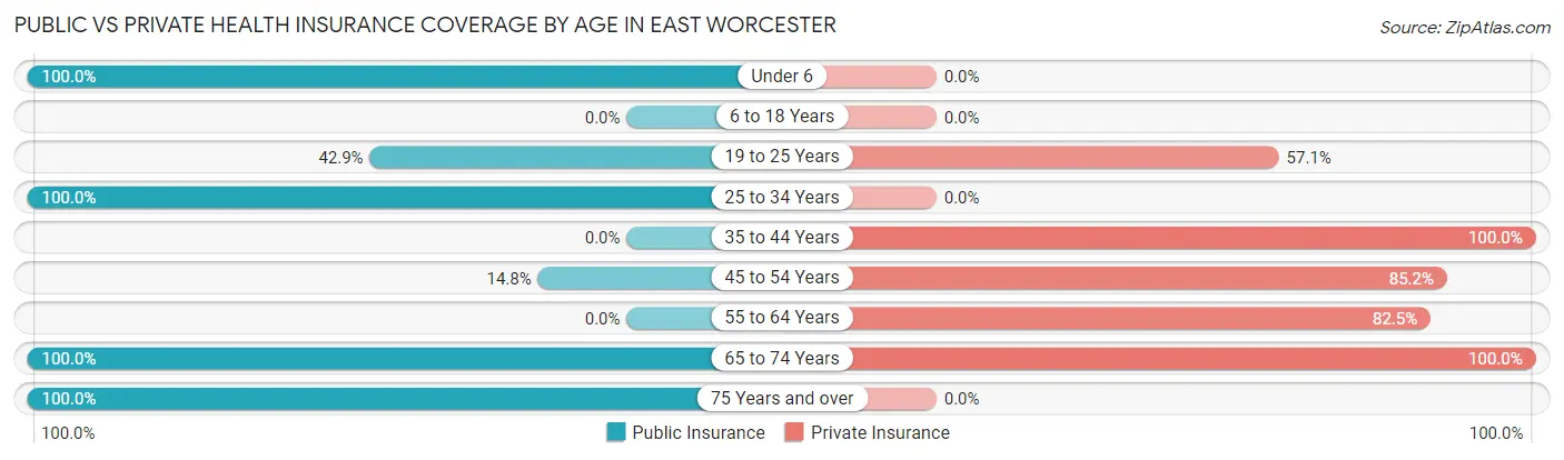 Public vs Private Health Insurance Coverage by Age in East Worcester