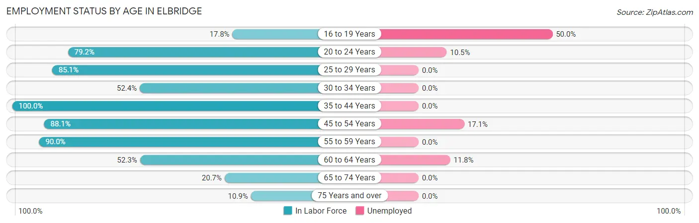 Employment Status by Age in Elbridge